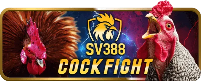 VIP69 Nổ Hũ và trách nhiệm xã hội